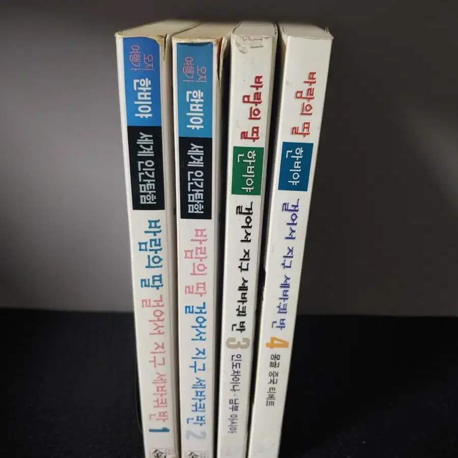 한비야> 바람의 딸 걸어서 지구 세바퀴 반 1-4