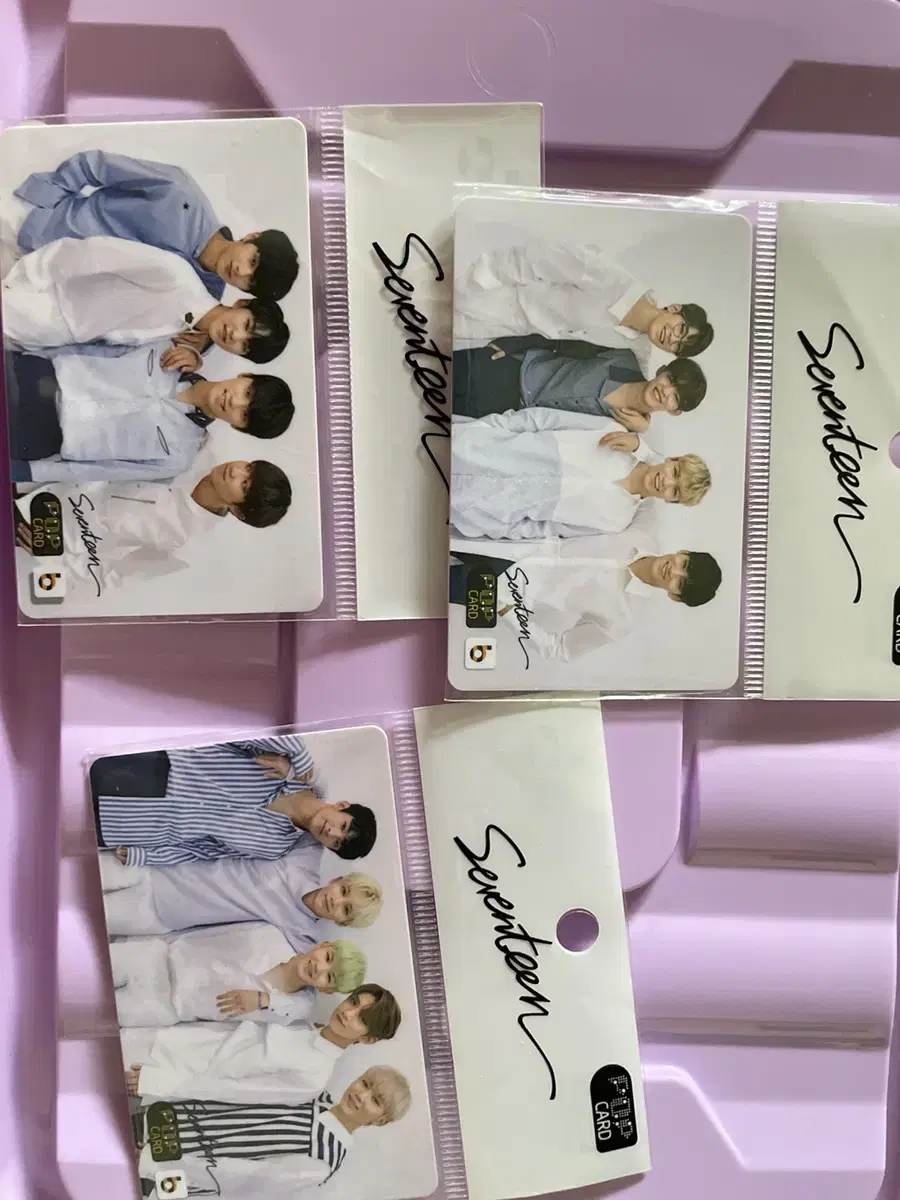 Seventeen CashBee Transportation Card