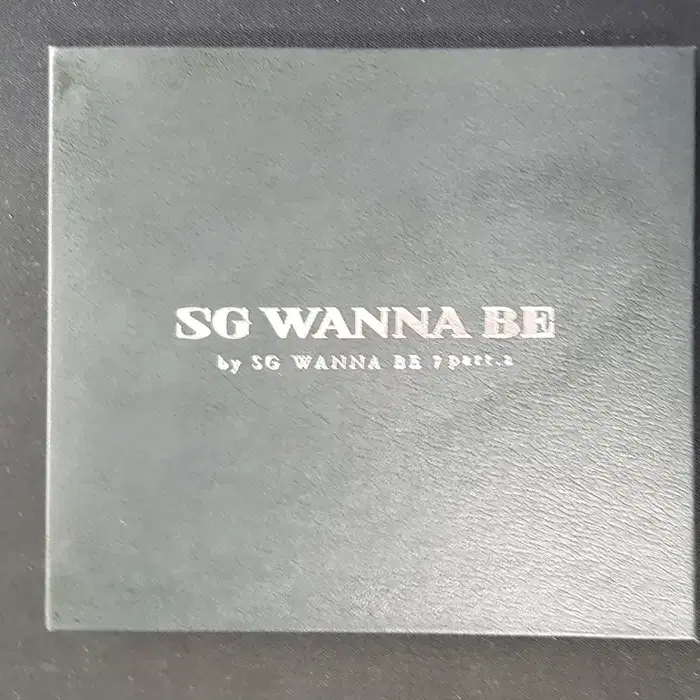 SG워너비 SG Wanna Be 정규7집 Part.2 홍보용 씨디