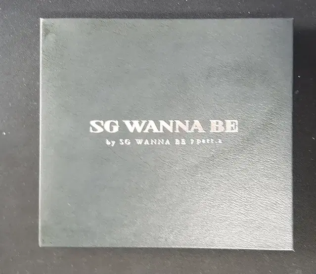 SG워너비 SG Wanna Be 정규7집 Part.2 홍보용 씨디