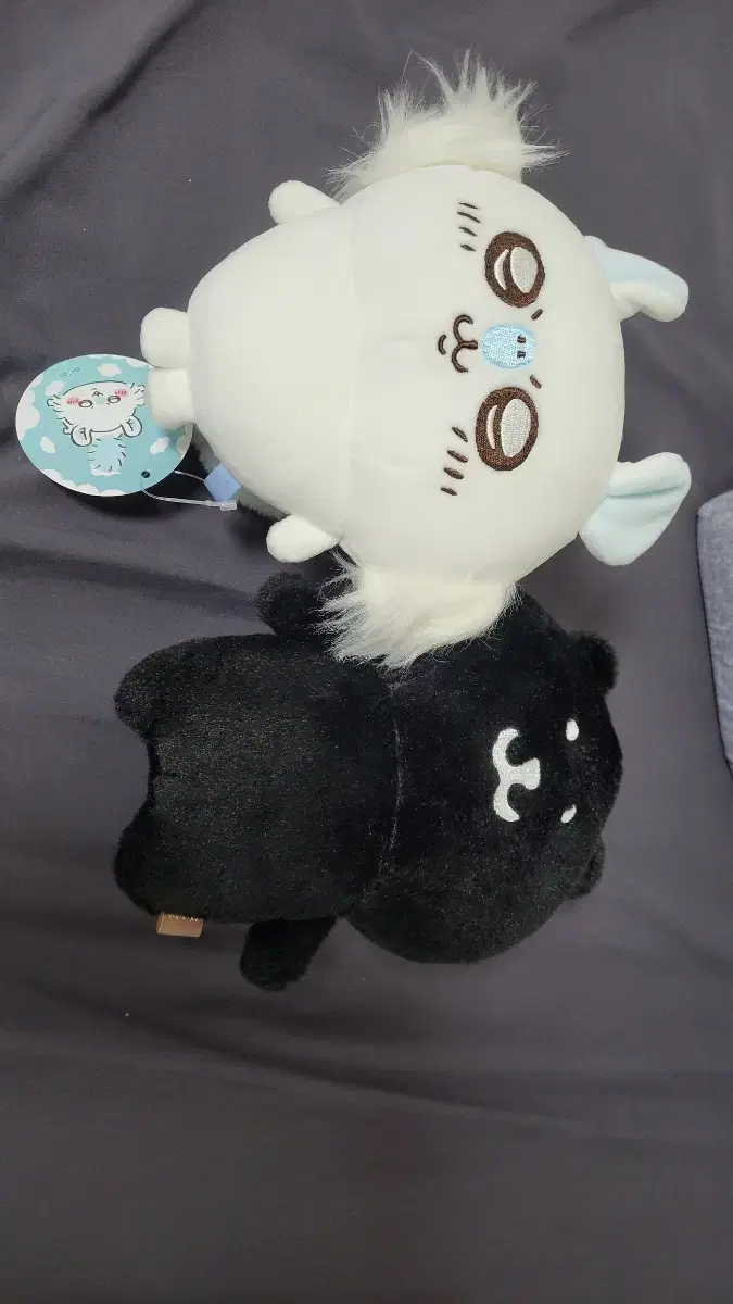 치이카와(모몽가) 인형, 나가노 마켓 한정판 검정 농담곰 인형(18cm)