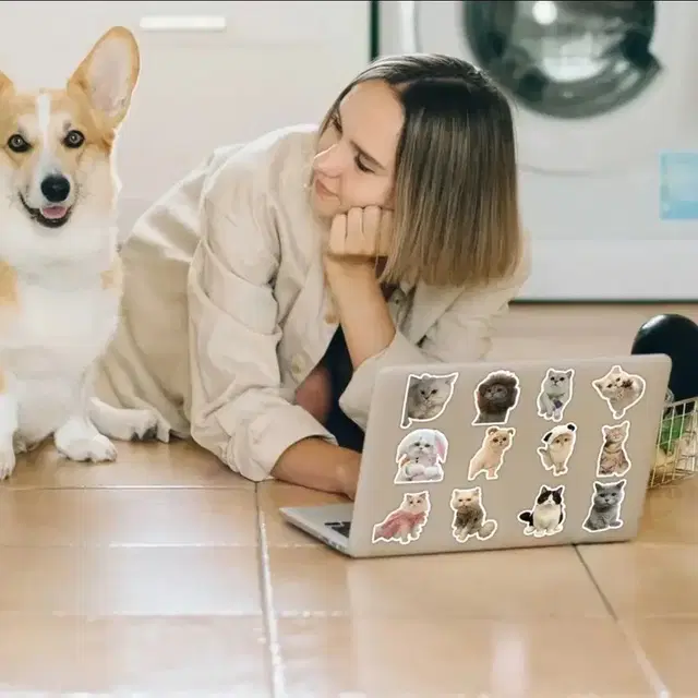 60조각 고양이 다꾸.포용.문구.조각스티커