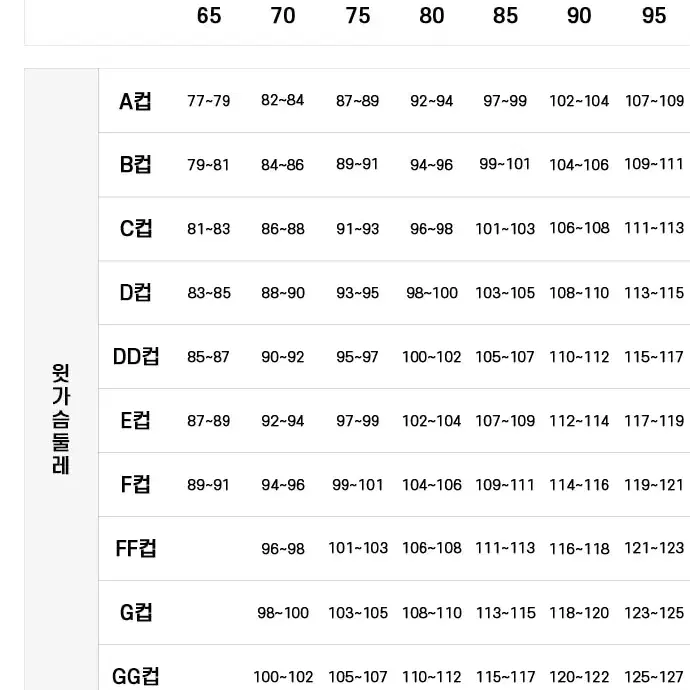 [완료] 미개봉 쇼크업소버x챔피온 뉴런브라 스포츠브라 75A