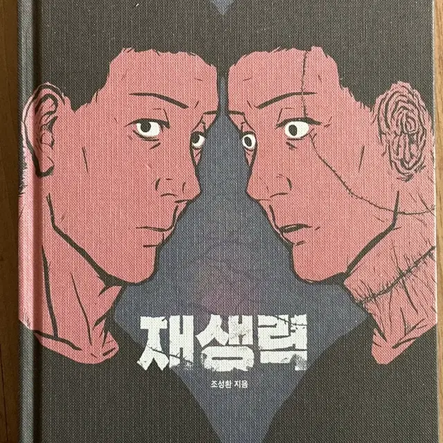 그래픽 노블 재생력