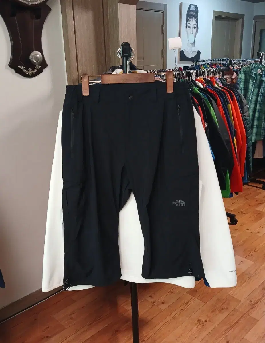 Men's North Face Chillbutt Pants (31-33 inches)