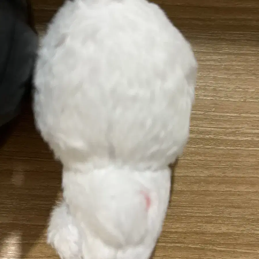 투바투 투바콩 콩빈 수빈 8cm 인형