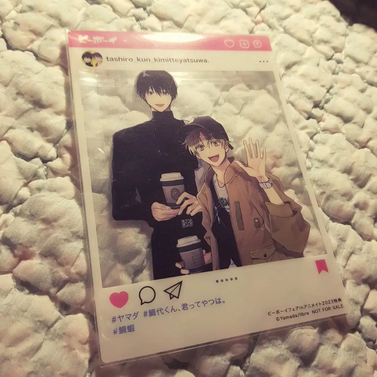 Tashiro Niranjo Transparent Photo Card