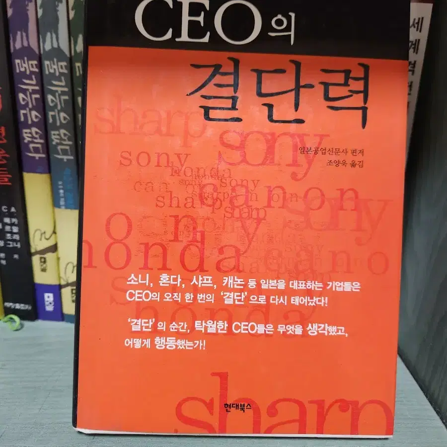 ceo의 결단력