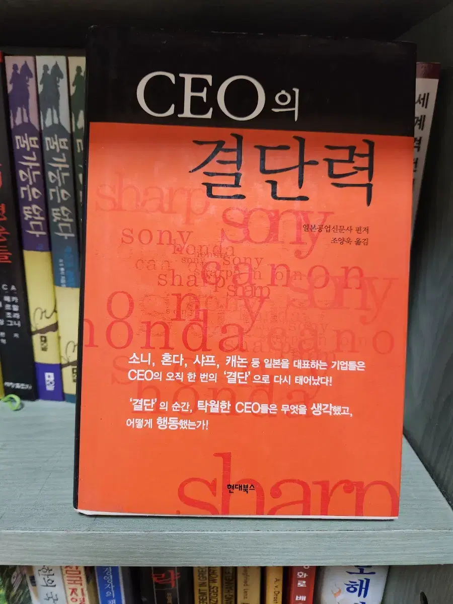 ceo의 결단력