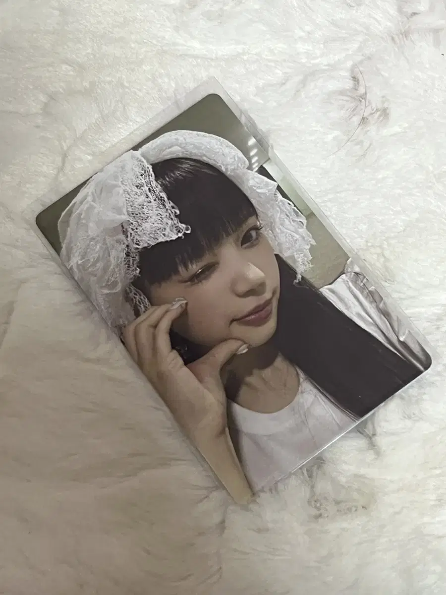 Eyelet Debutante Mocha photocard sells