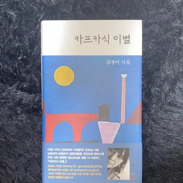 카프카식 이별 책 도서 시집