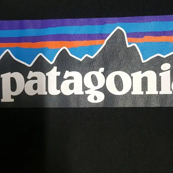 patagonia파타고니아  블랙 라운드 반팔   M