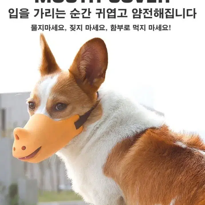 애완동물 실리콘 입마개