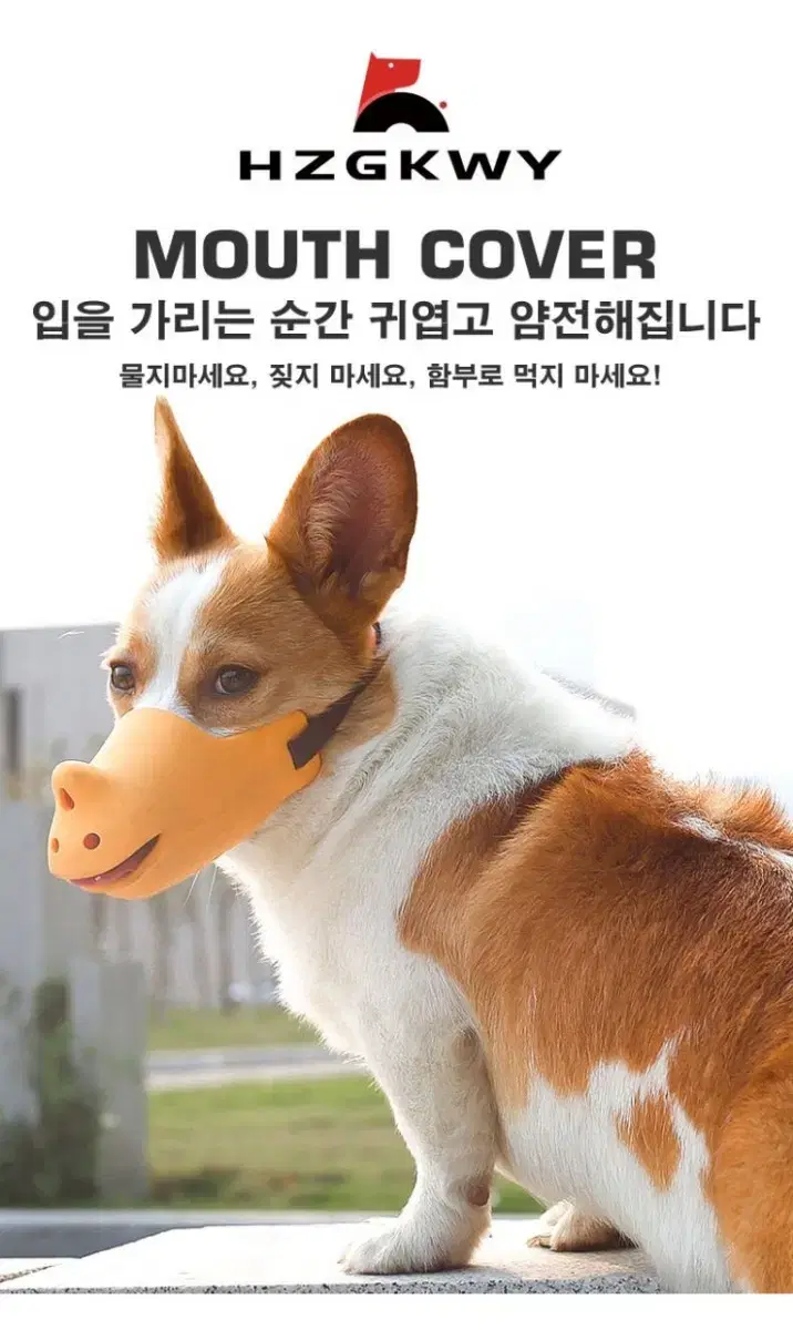 애완동물 실리콘 입마개