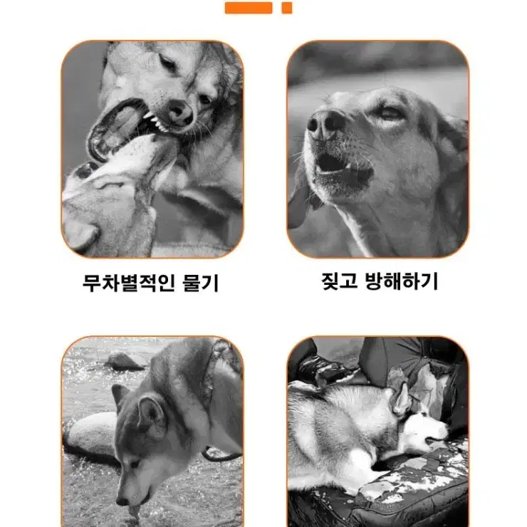 애완동물 실리콘 입마개