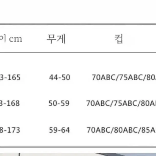 여성 수영복 모노키니 xl