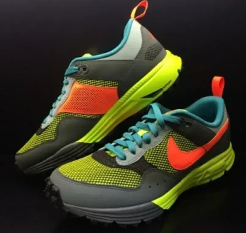 NIKE Nike Sports luna Pegasus Running Shoes 280mm