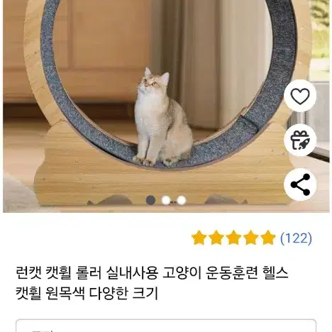 캣휠 고양이 캣휠