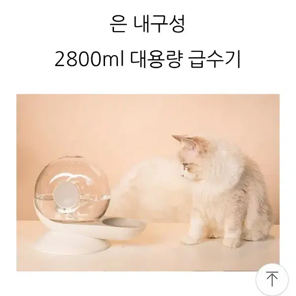 딩동팻 급수기