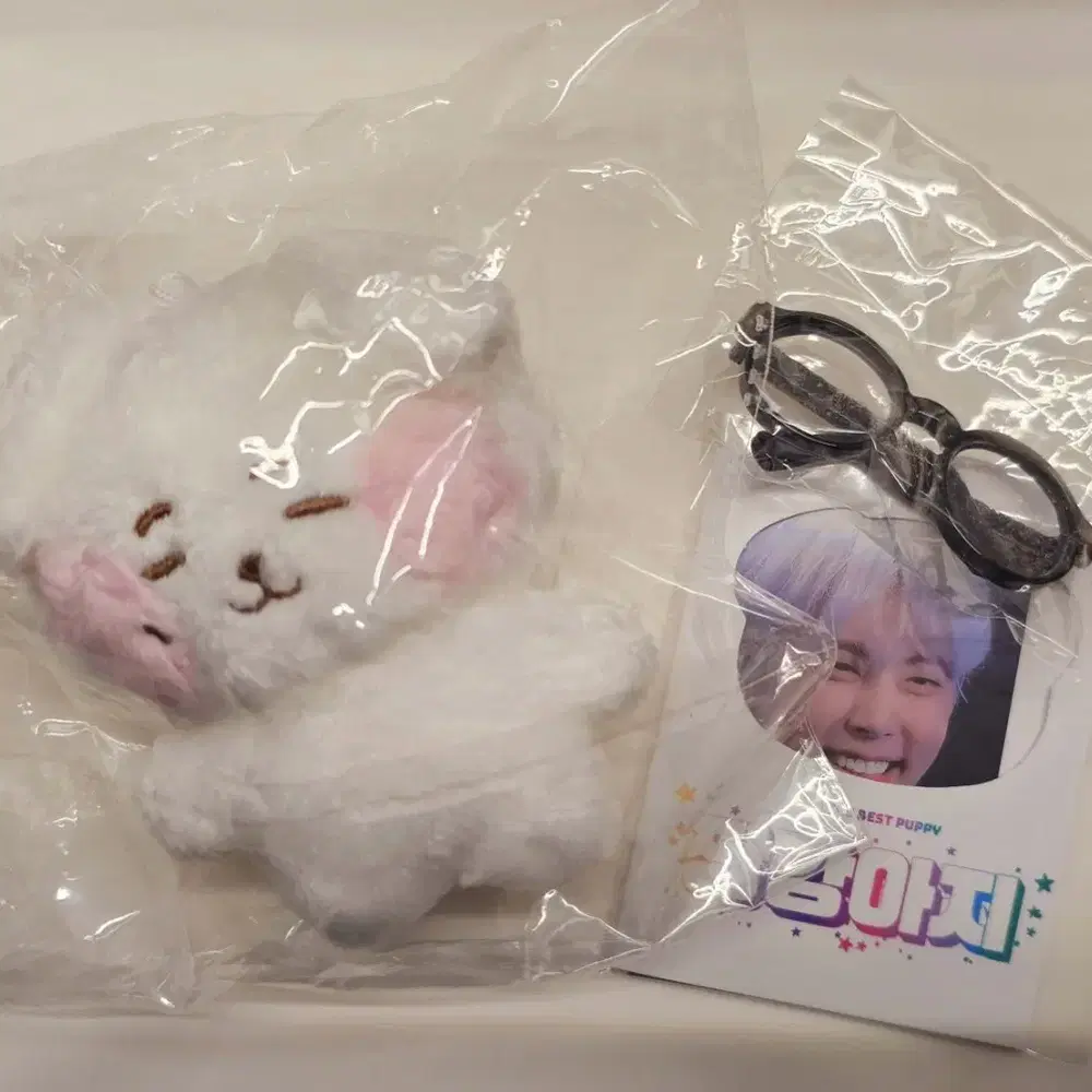 SF9 재윤 10cm 인형 비공굿 앙뭉이 양도 (미사용)