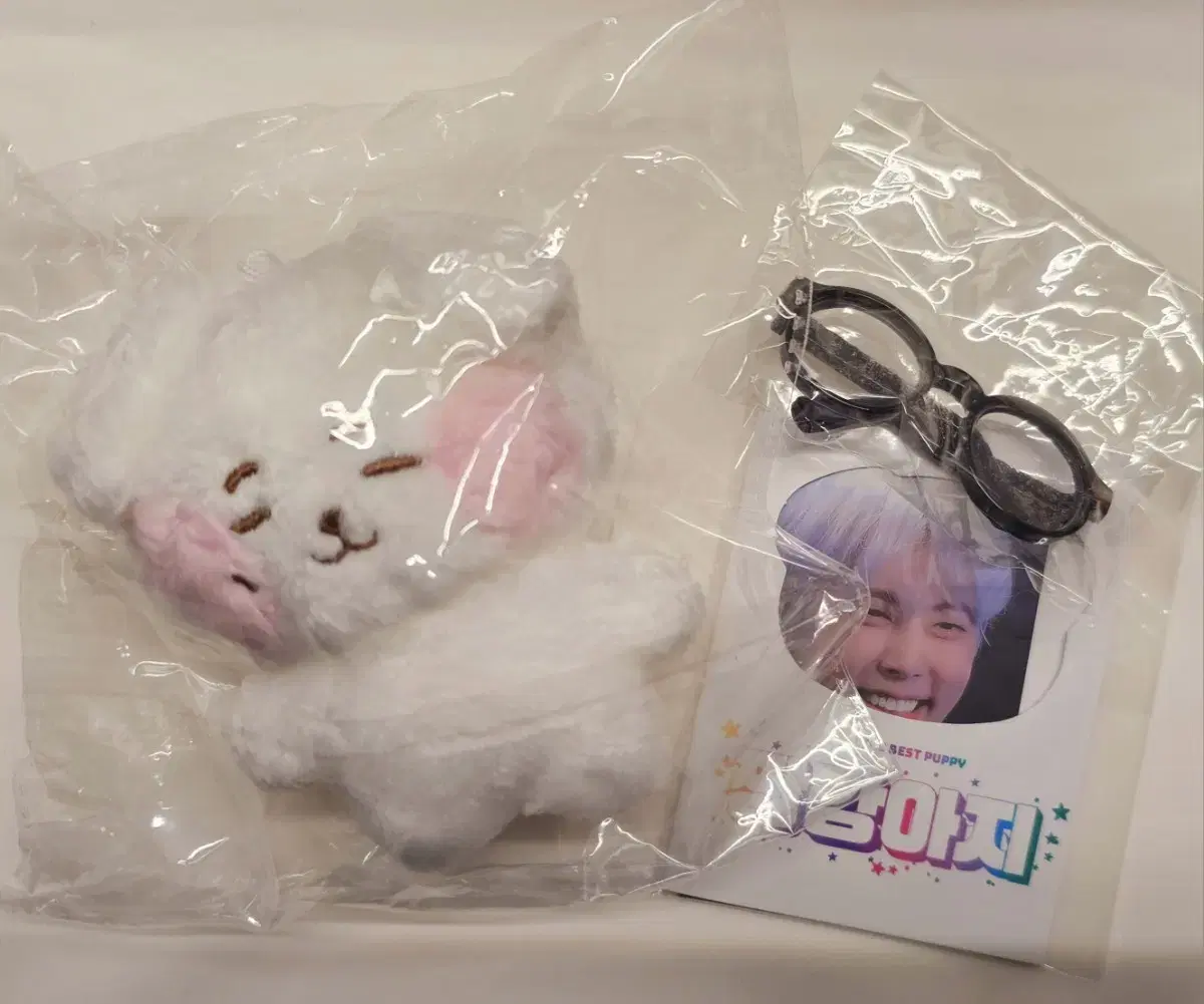 SF9 재윤 10cm 인형 비공굿 앙뭉이 양도 (미사용)