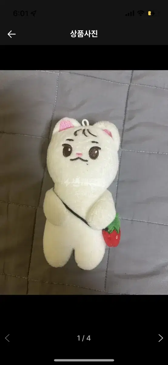 The Boyz Idol doll qdambi