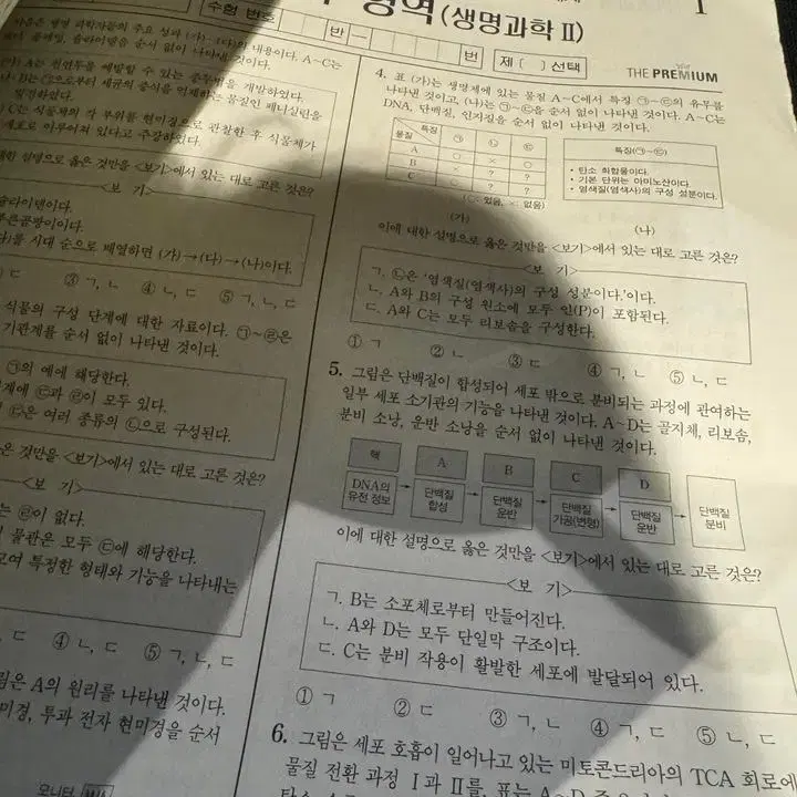 강대 더프 4월 생명과학2 모의고사