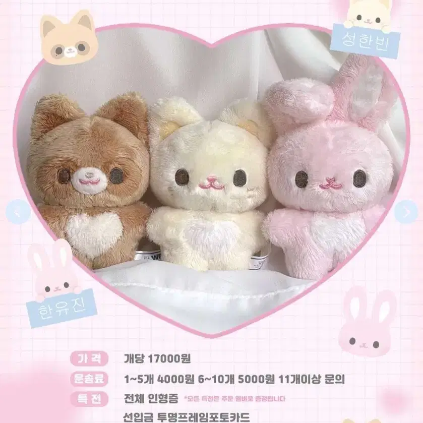 장하오 10cm 인형 짱짱구리 새상품 원가양도