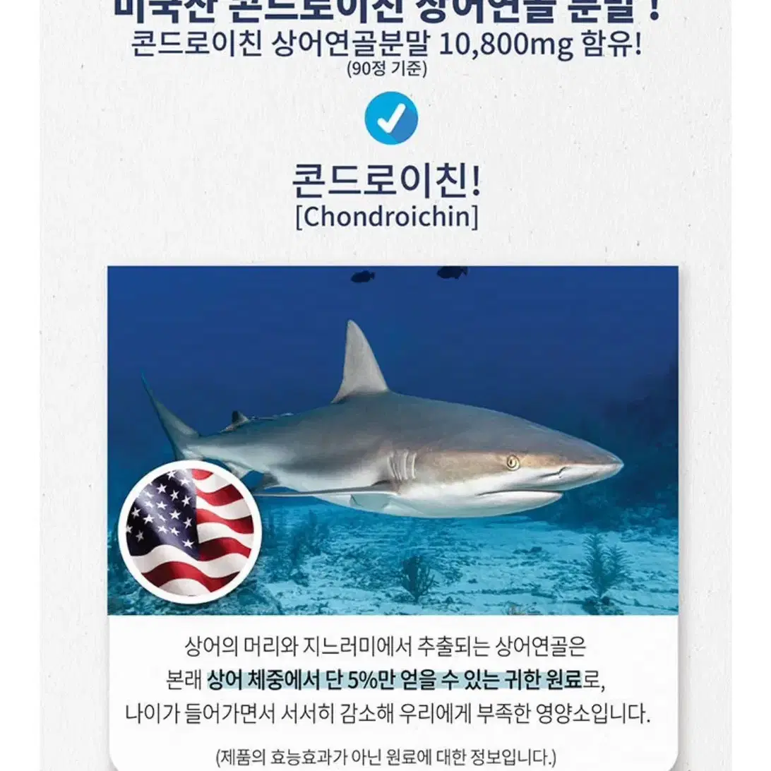 관절엔 콘드로이친 1200 무릎 관절 영양제건강식품