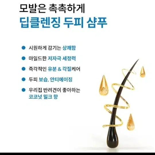 0620 (새상품) 위스오아 두피 딥클렌징 약산성 샴푸 - 6900원