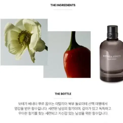 (미개봉)보테가베네타 뿌르 옴므50ml