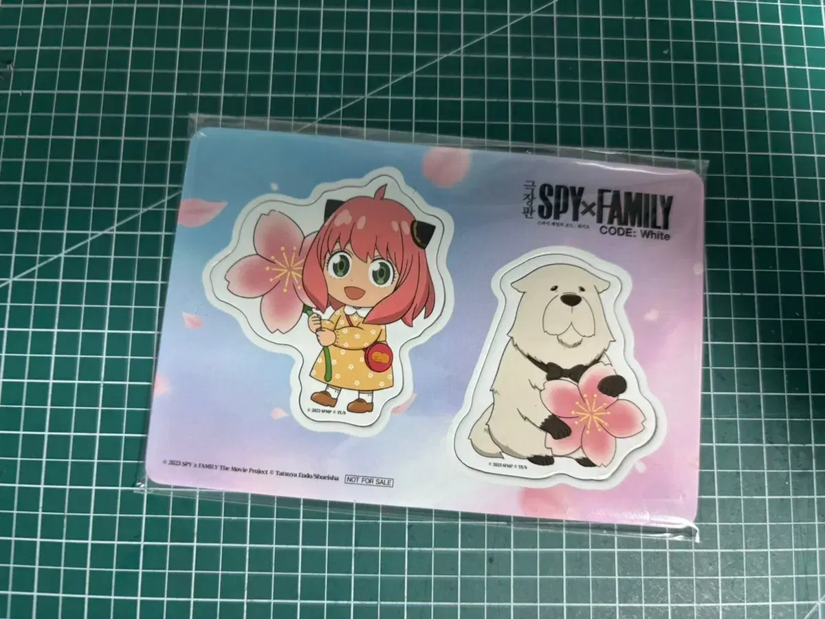 SPY FAMILY Cherry Blossom Magnet for sale