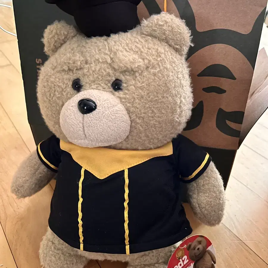 테드 인형 졸업 ted