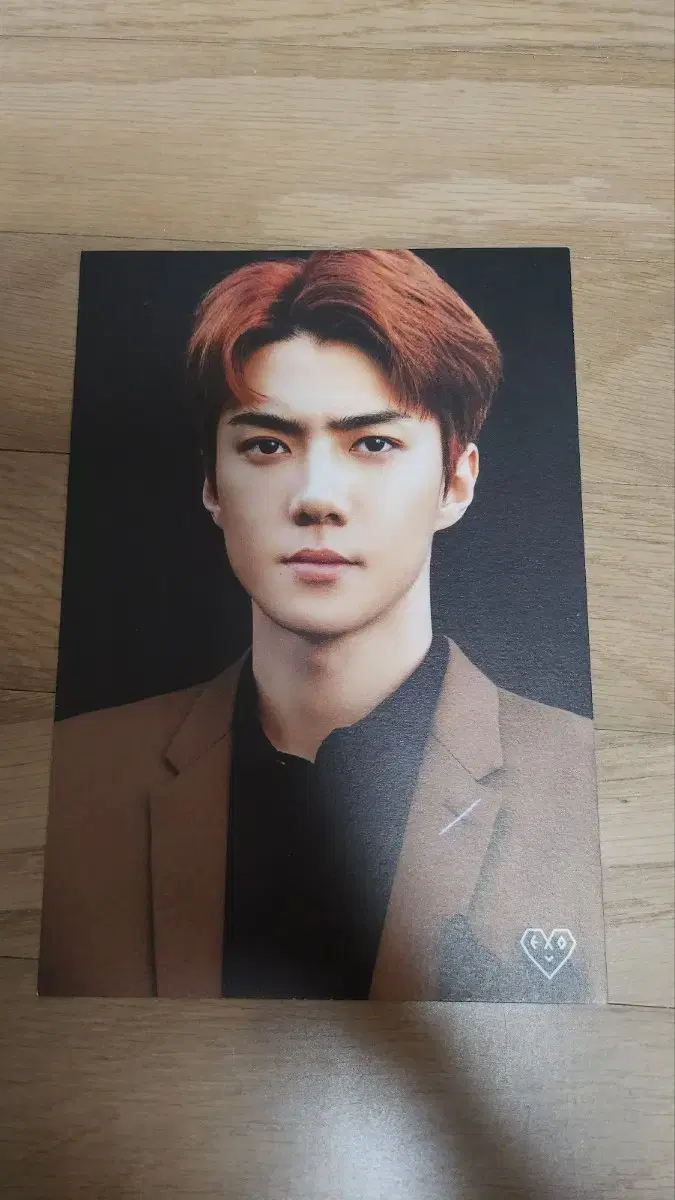 EXO exo exo sehun Official Exo Kit postcard photocard sell WTS