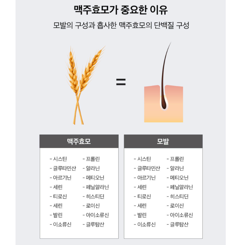 모부심 비오틴 맥주효모환 1박스 탈모 관리 영양제 모발케어 남자 여자