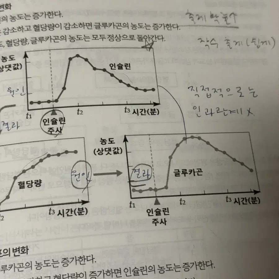 2024 윤도영t final exclusive 팝니다.