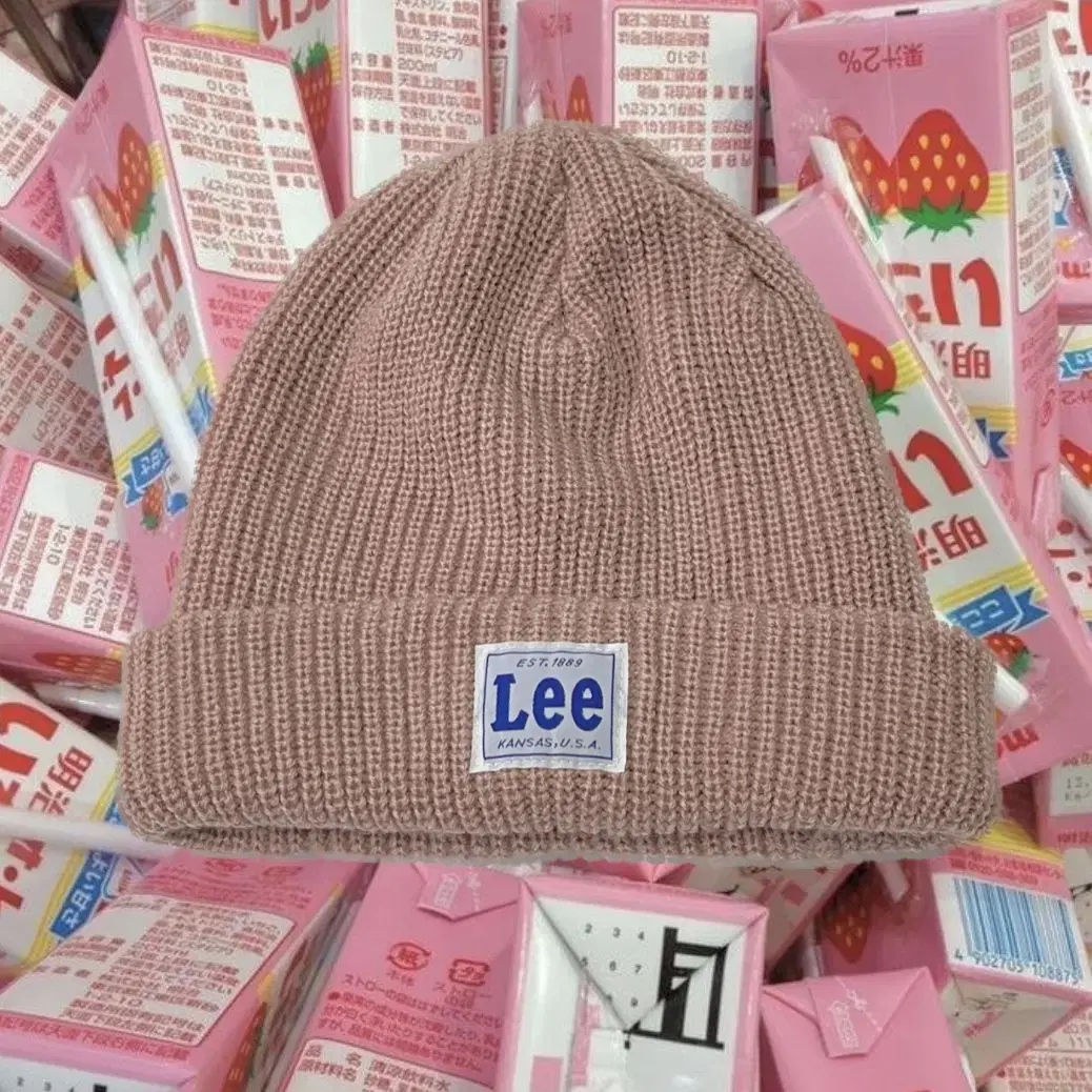 LEE beanie