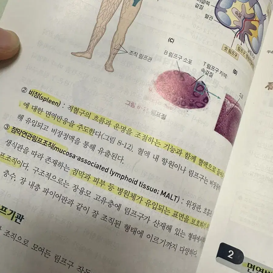 고문사 간호미생물학