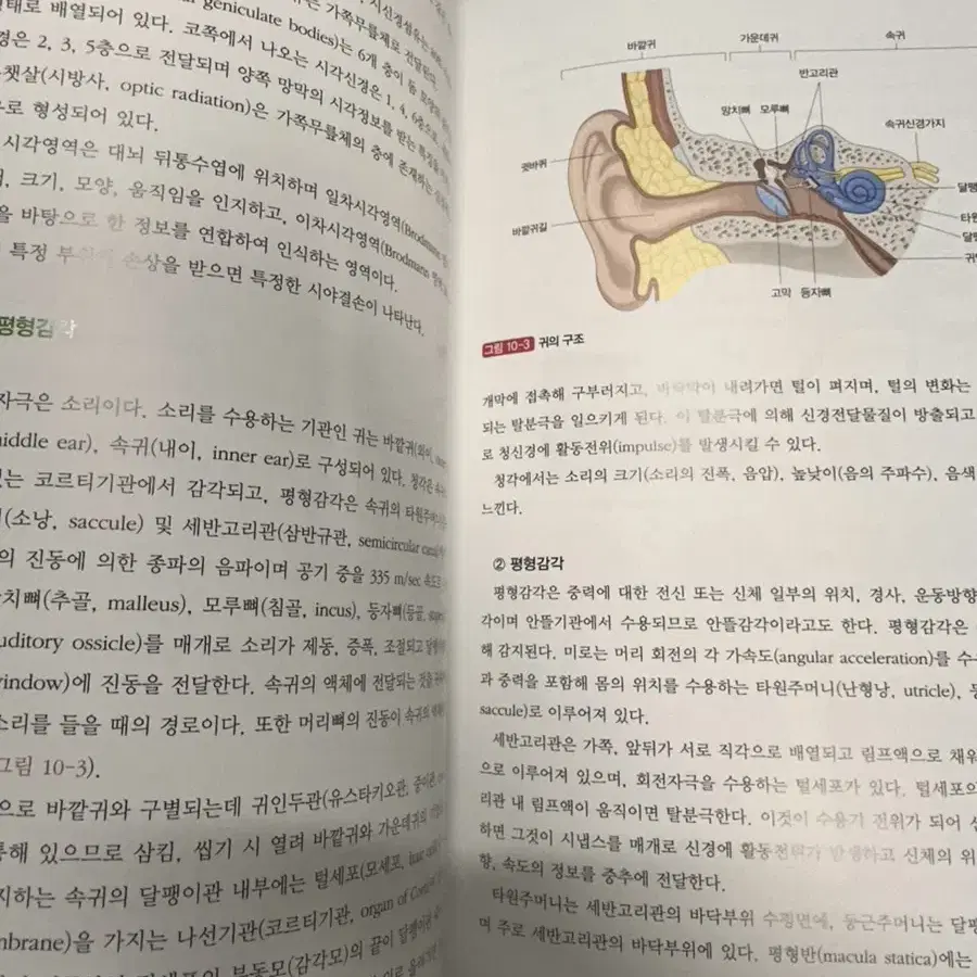 고문사 알기쉬운 생물학 제2판