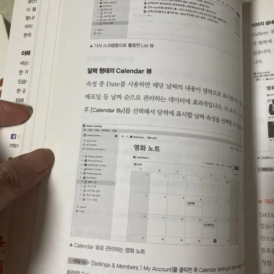 노션도서책