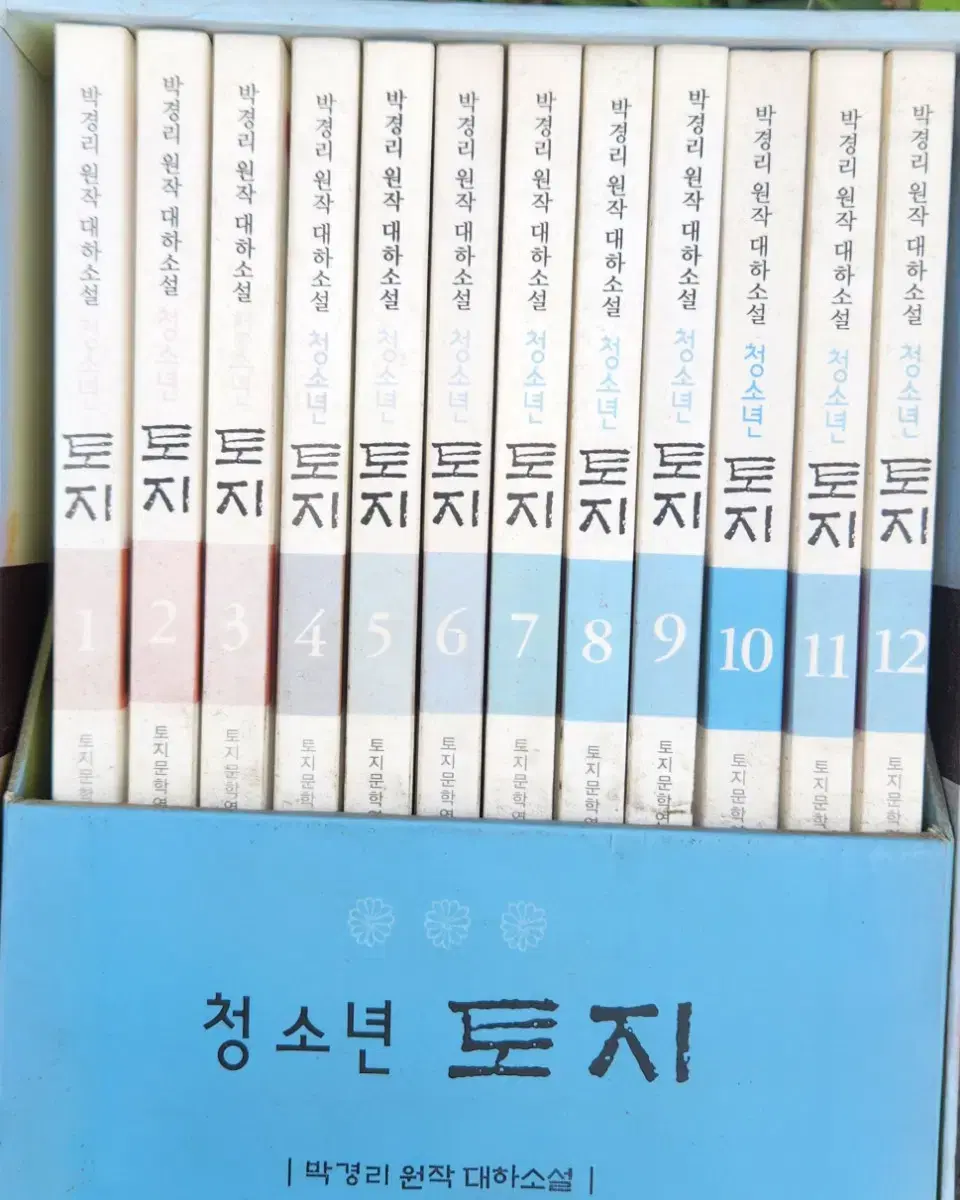 박경리작가 장편소설 토지 청소년용12권세트