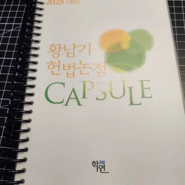 2025 황남기 헌법논점 Capsule