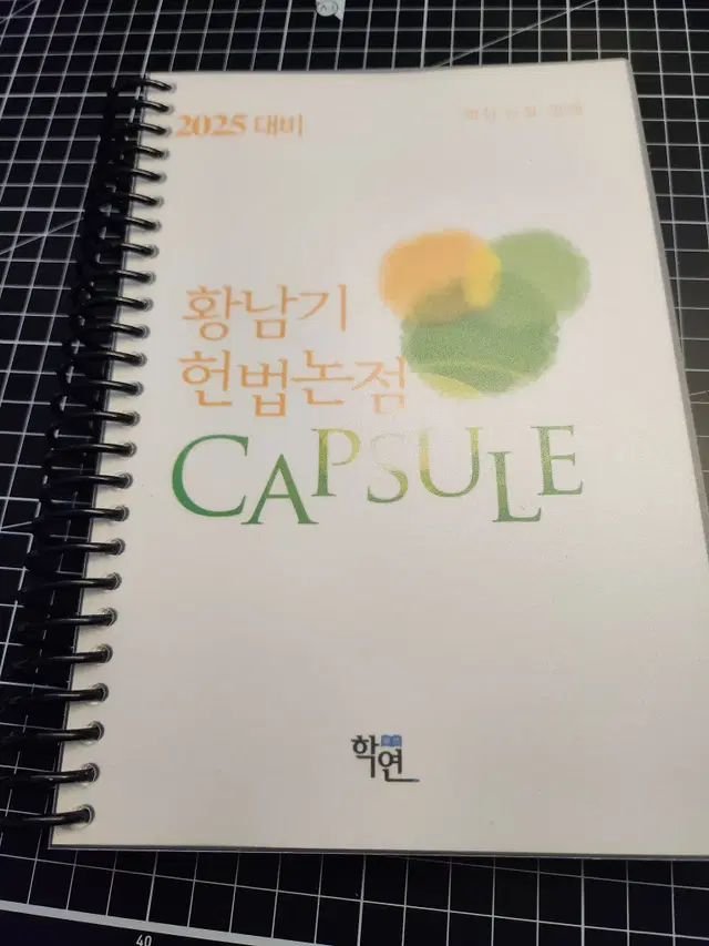 2025 황남기 헌법논점 Capsule