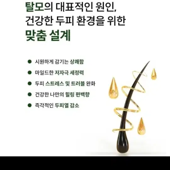 0623 (새상품) 위스오아 안티헤어로스 두피강화 탈모증상완화 샴푸