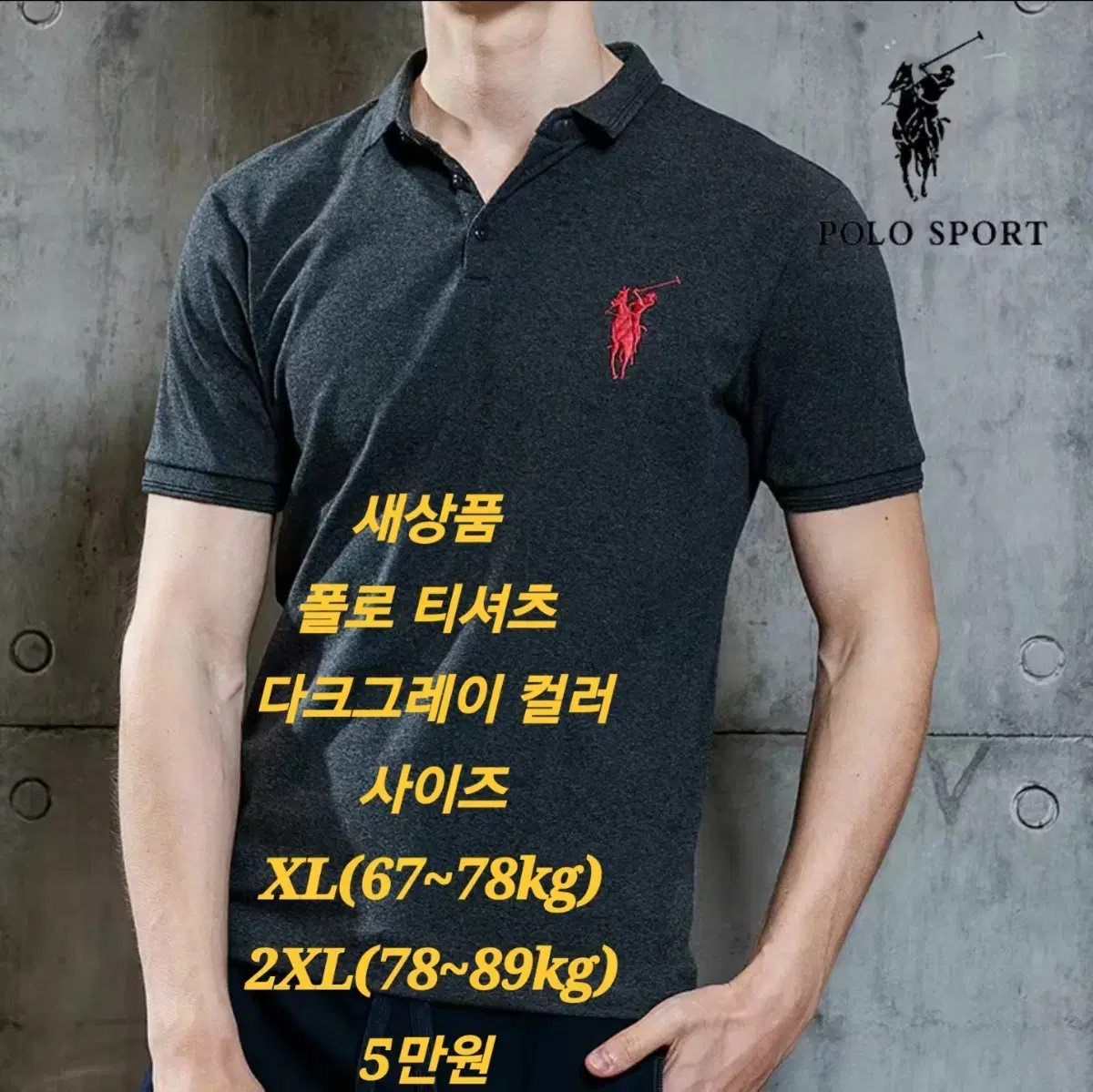 Polo Men's Apparel (New)