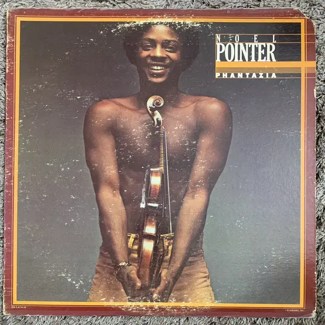 noel pointer LP