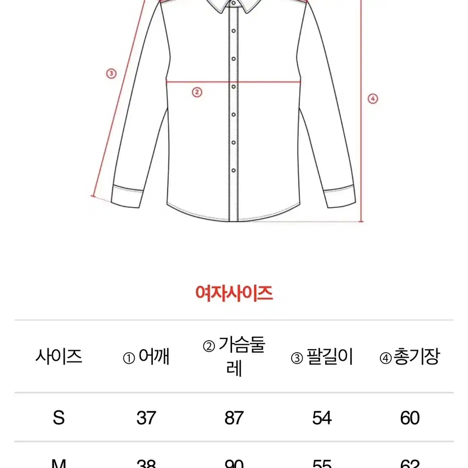 졸업사진 주토피아 닉 코스프레 대여 여우 코스튬 대여