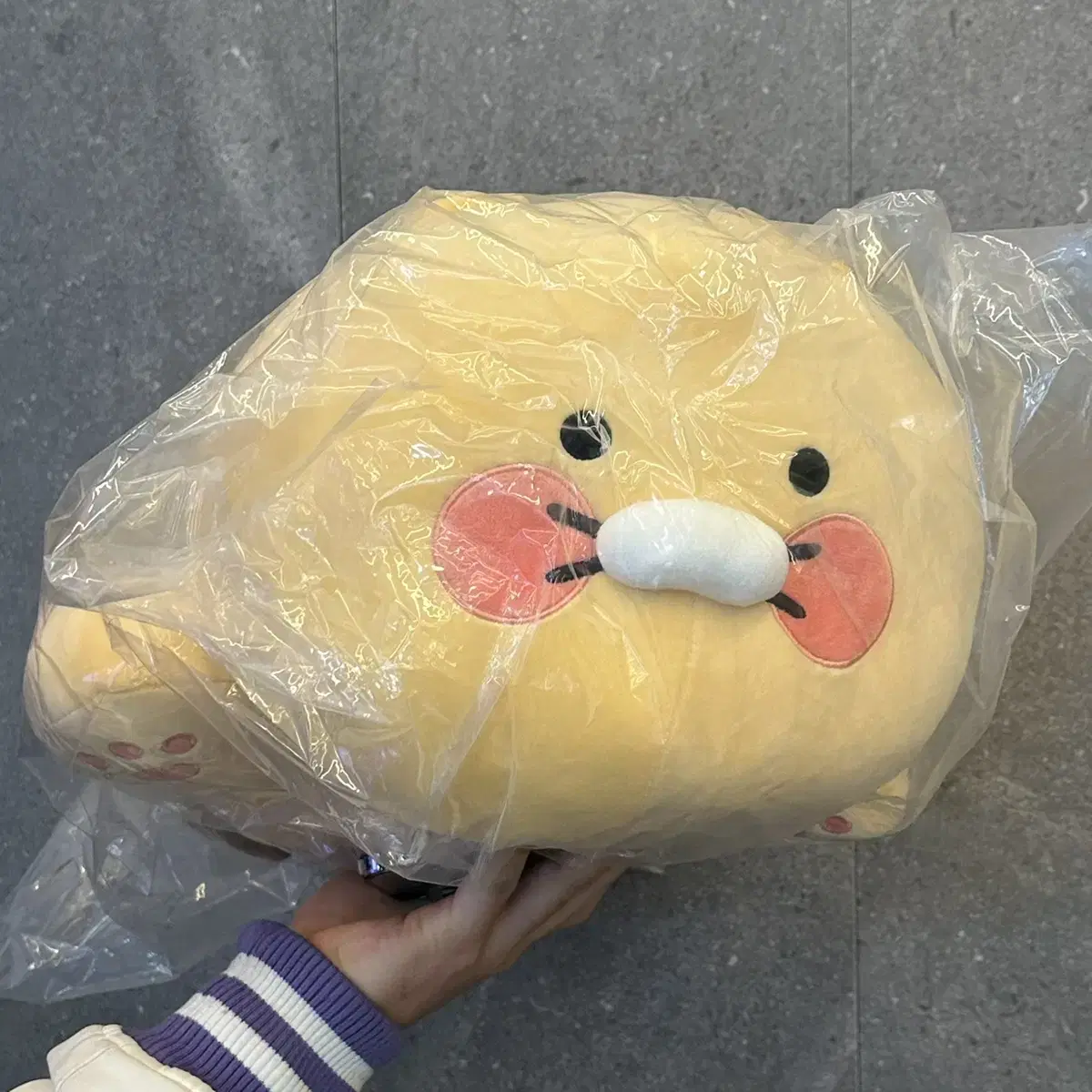 춘식이 50cm 바디필로우 인형