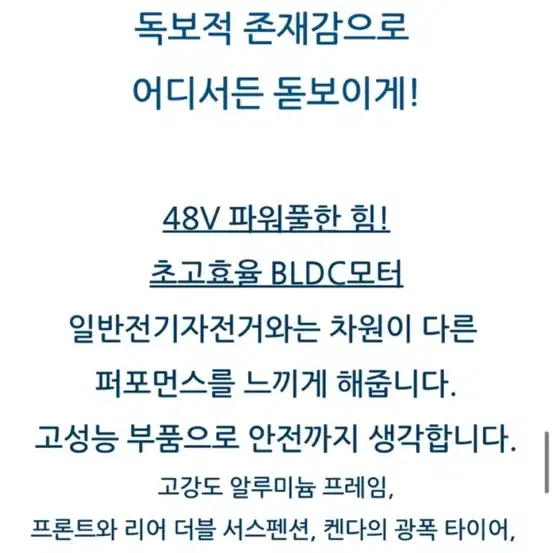 Smd V2 팻바이크(LG배터리 교체) 무광블랙