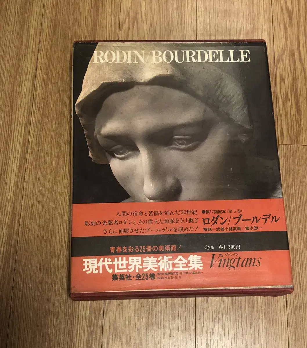 Rodin Bourdelle Book of Contemporary Art (Japanese Edition)